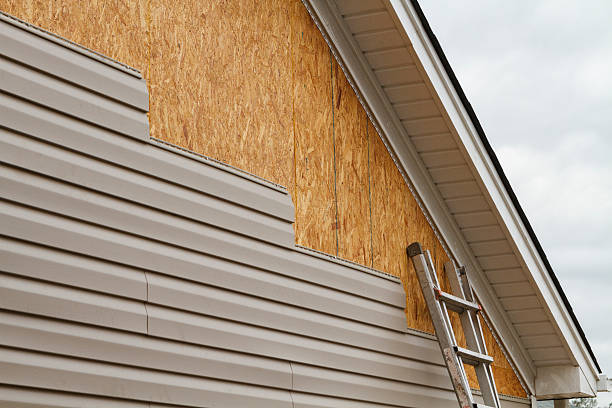 Professional Siding Repair technician working in Mountlake Terrace, WA